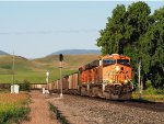 BNSF 5933